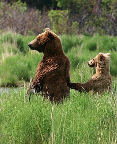 Alaska Photo