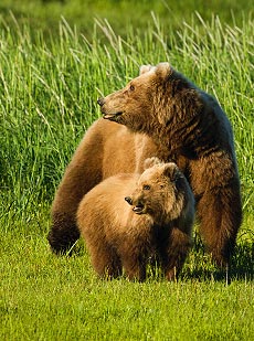 Alaska Photo