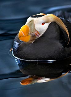 Alaska Photo